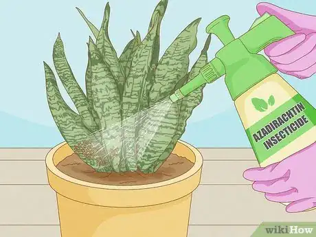 Image titled Get Rid of Thrips Indoors Step 8