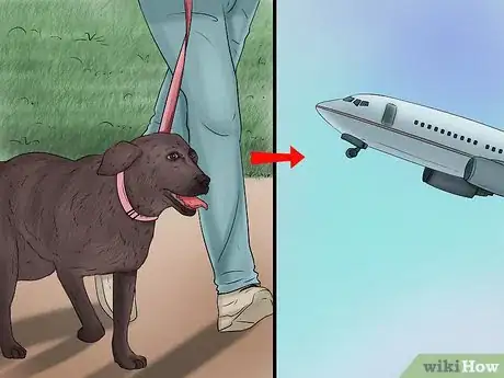 Image titled Prepare a Dog for Air Travel Step 8