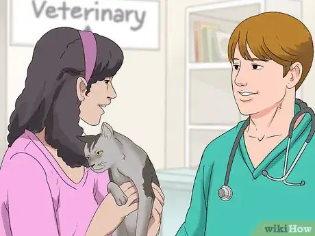 Image titled Schedule Wellness Exams for a Senior Cat Step 1