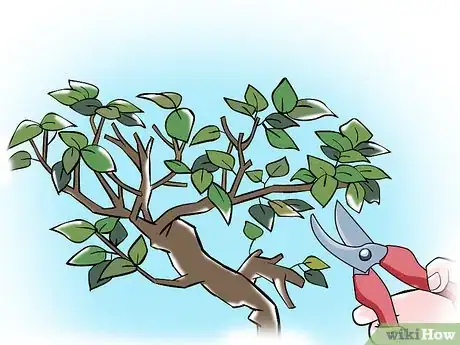 Image titled Trim a Bonsai Step 2