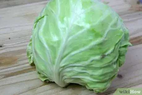 Image titled Cut a Cabbage Into Wedges Step 6Bullet1