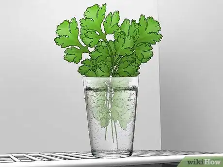 Image titled Use Cilantro Step 4