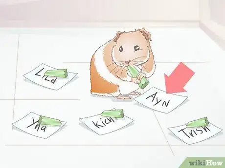 Image titled Choose Your Guinea Pig's Name Step 4