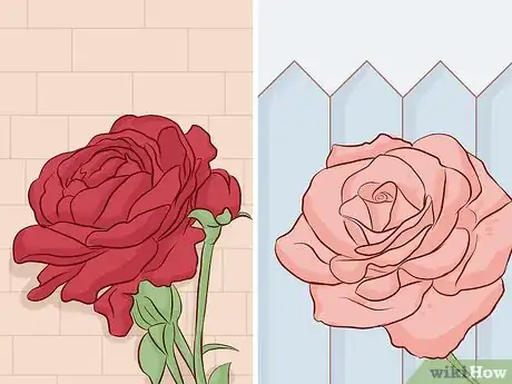 Image titled Buy Rose Bushes Step 9