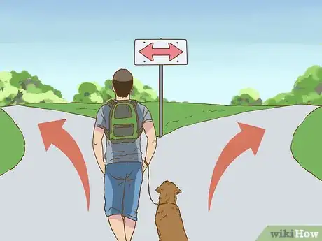 Image titled Have Fun While You're Walking Your Dog Step 1
