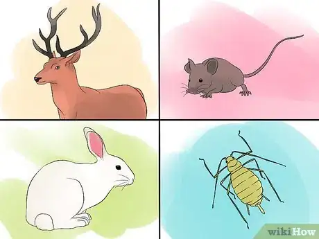 Image titled Grow an Apple Tree Step 15