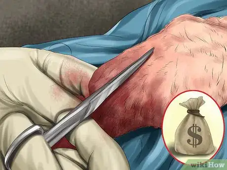 Image titled Choose a Dog Adoption Agency Step 7