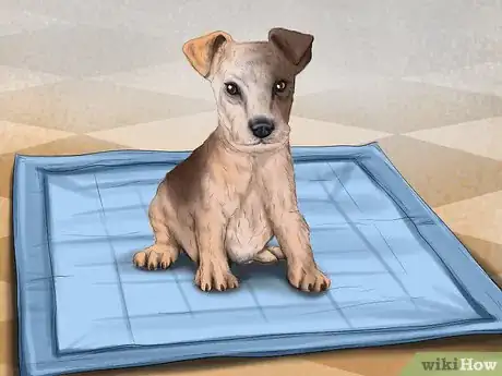 Image titled Prepare Your Small Dog for Apartment Living Step 4