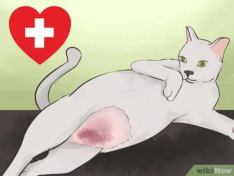 Image titled Keep a Cat Indoors Step 13