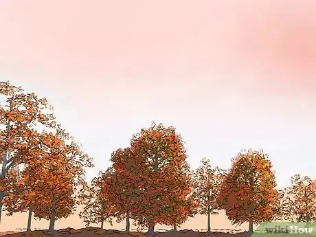 Image titled Photograph Autumn Step 13