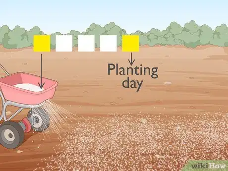 Image titled Grow Giant Vegetables Step 10