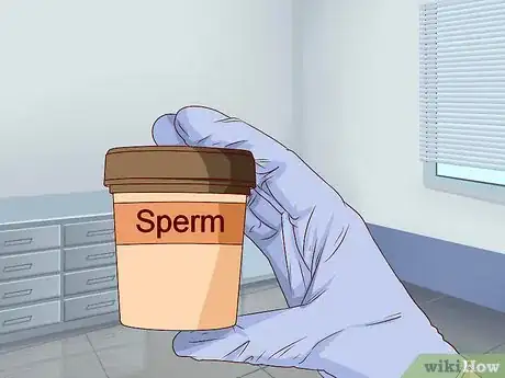 Image titled Prepare for Intrauterine Insemination Step 8