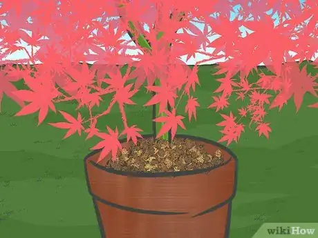 Image titled Mulch Leaves with a Lawn Mower Step 9