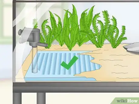 Image titled Keep Japanese Weather Loaches Step 4