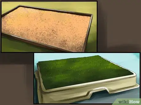 Image titled Housebreak a Dog with Positive Reinforcement Step 7