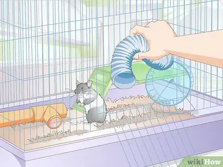 Image titled Deal With a Mean Hamster Step 11