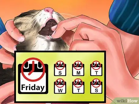 Image titled Give L‐Carnitine to Cats with Fatty Liver Step 4