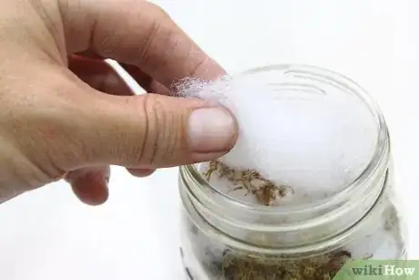 Image titled Make a Lantern Step 19