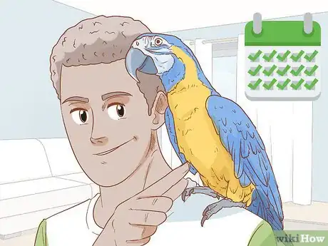 Image titled Keep a Macaw Occupied Step 7