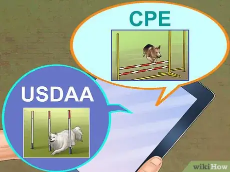Image titled Enter a Dog in an Agility Trial Step 3