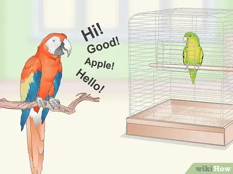 Image titled Teach a Parrotlet to Speak Step 9