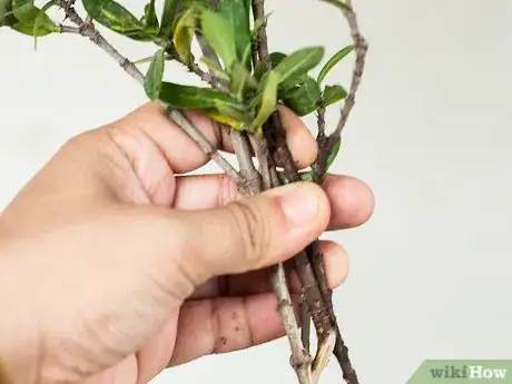 Image titled Make Floral Craft Arrangements Step 8