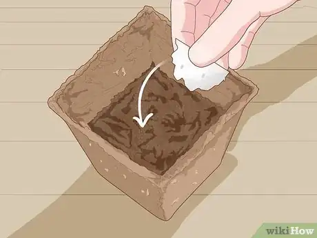 Image titled Plant a Woolworths Discovery Garden Step 6