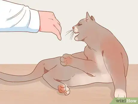 Image titled Figure Out if Your Cat Is Angry Step 1