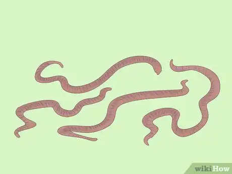 Image titled Prepare Vermicompost Step 5