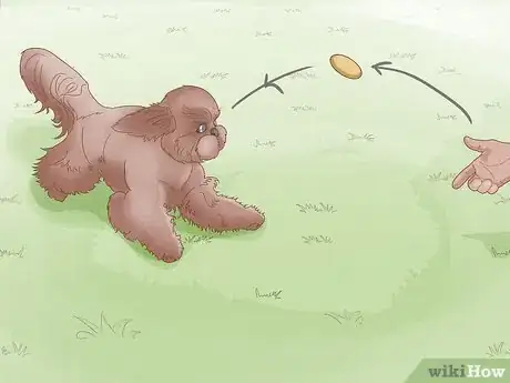 Image titled Prevent Dog Fights Step 16