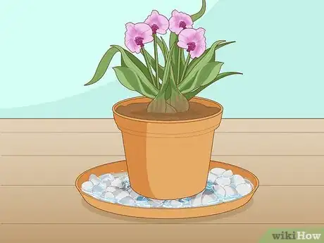 Image titled Create Humidity for Indoor Plants Step 8