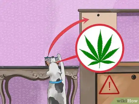 Image titled Prevent Marijuana Poisoning in Dogs and Cats Step 2