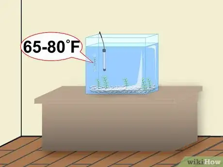 Image titled Clean a Betta Fish Tank Step 10
