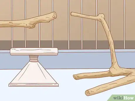 Image titled Keep a Macaw Occupied Step 6