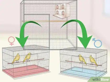 Image titled Clean and Maintain a Canary Habitat Step 13