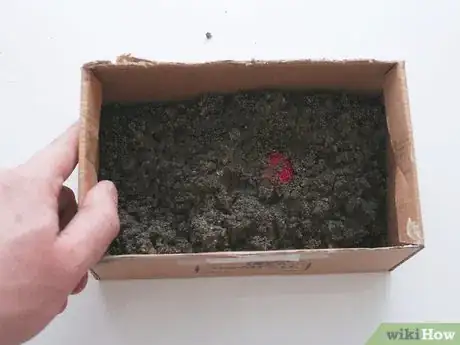 Image titled Store Radishes Step 14