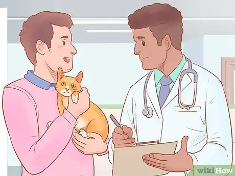 Image titled Make Daily Life Easier for a Mobility‐Impaired Cat Step 12