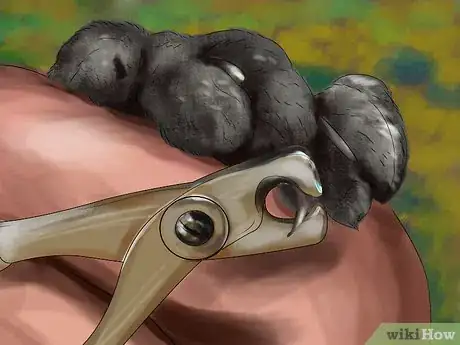 Image titled Choose Nail Trimmers for Your Cat Step 7