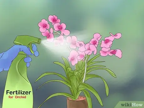 Image titled Grow Vanda Orchids Step 13