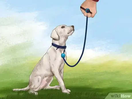 Image titled Keep Your Dog Safe from Wild Animals Step 6