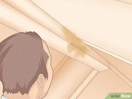 Image titled Check the Garden Shed for Leaks Step 1