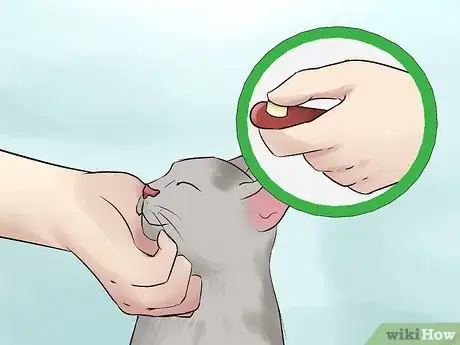 Image titled Keep a Cat Indoors Step 14