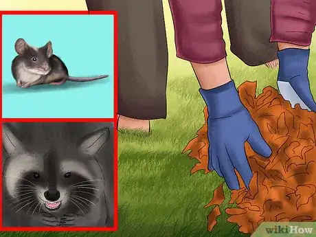 Image titled Keep Your Dog Safe from Wild Animals Step 3