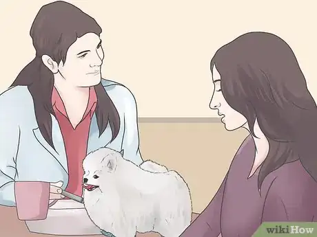 Image titled Control Arthritis Pain in Dogs Step 1