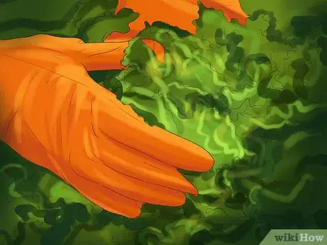 Image titled Prevent Infection from Toxoplasmosis Step 12