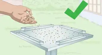 Build a Bird Table