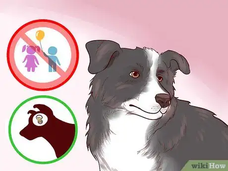 Image titled Adopt a Herding Dog Step 7