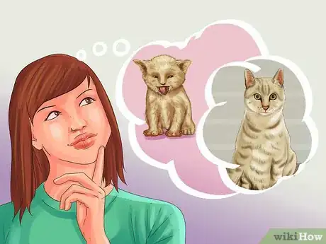 Image titled Choose a Kitten Name Step 10