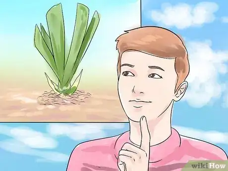 Image titled Get Irises to Bloom Step 5