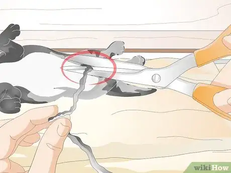 Image titled Keep Orphaned Newborn Puppies Clean Step 2